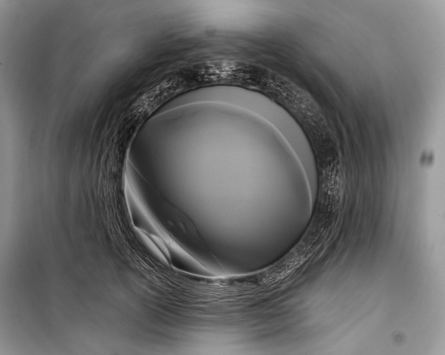 X0000099290754200805161325