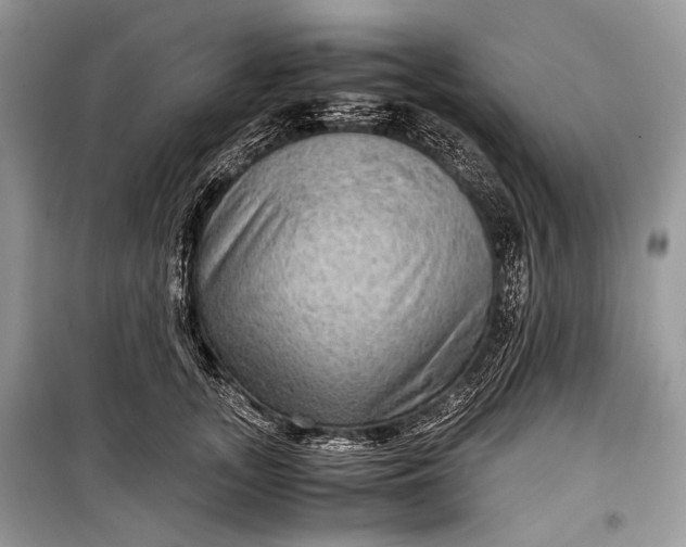 X0000099290755200805161325