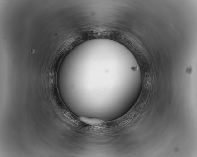 X0000099290756200805161325