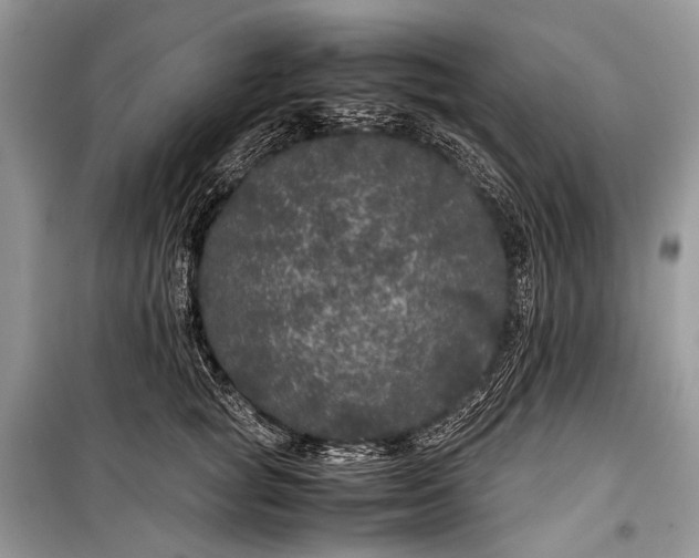 X0000099290757200805161325