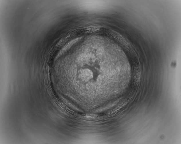 X0000099290758200805161325