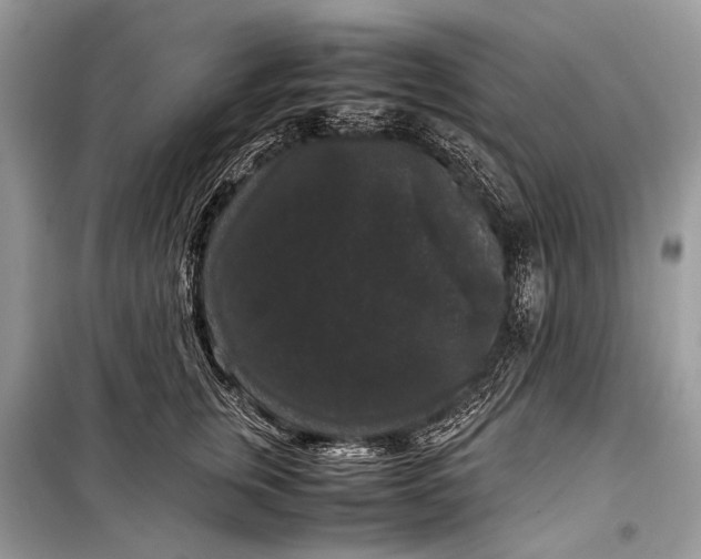 X0000099290759200805161325