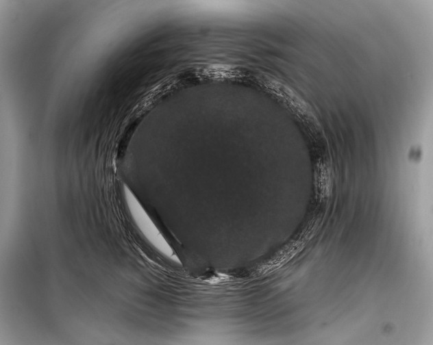 X0000099290760200805161325