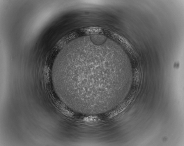 X0000099290761200805161325