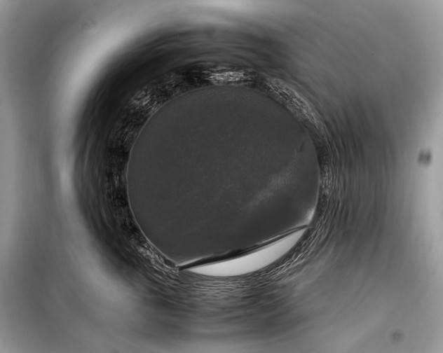 X0000099290763200805161325