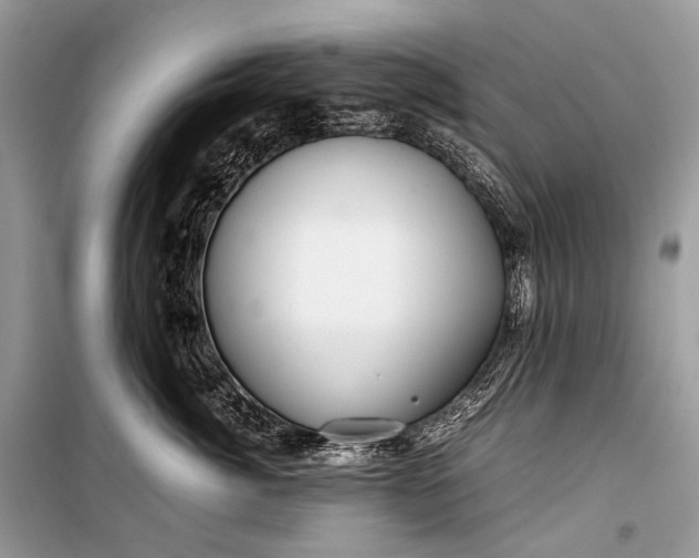 X0000099290764200805161325