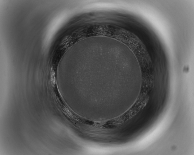 X0000099290766200805161325