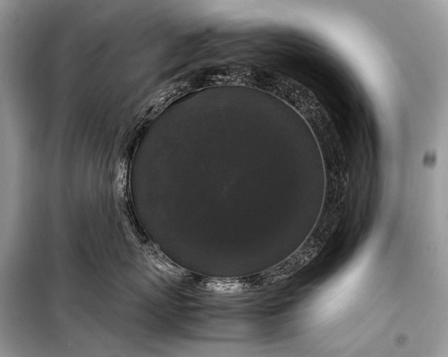 X0000099290767200805161325