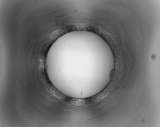 X0000099290768200805161325