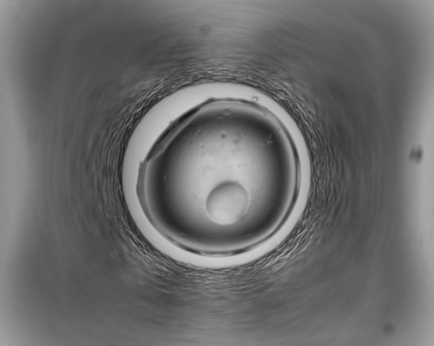 X0000099290769200805161324