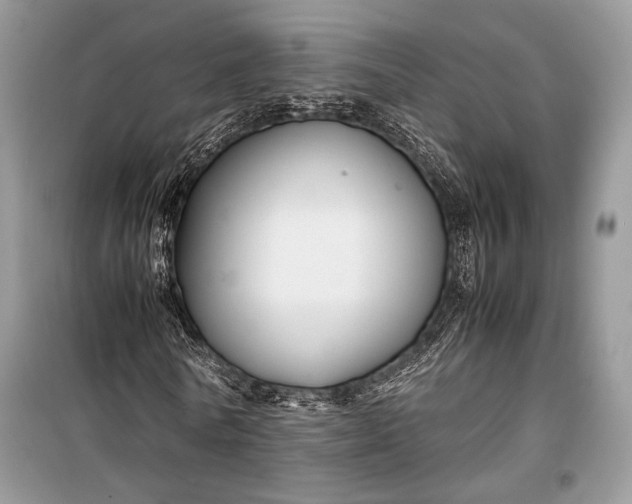 X0000099290770200805161324