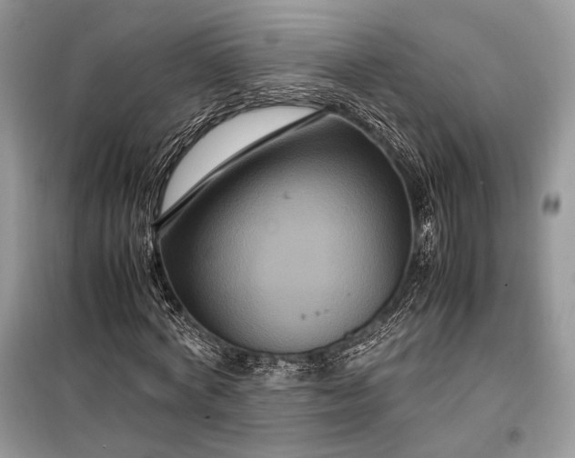 X0000099290772200805161324