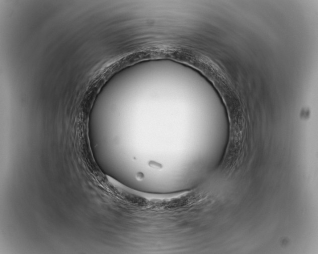 X0000099290773200805161324