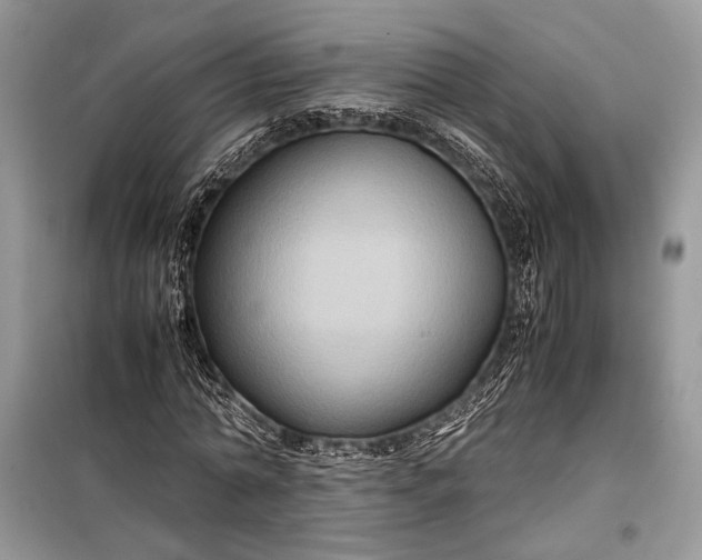 X0000099290774200805161324