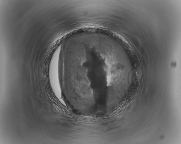 X0000099290775200805161324