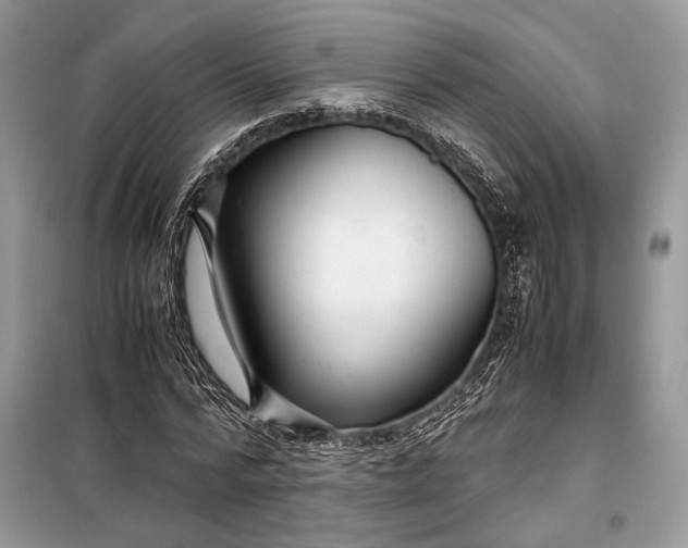 X0000099290776200805161324