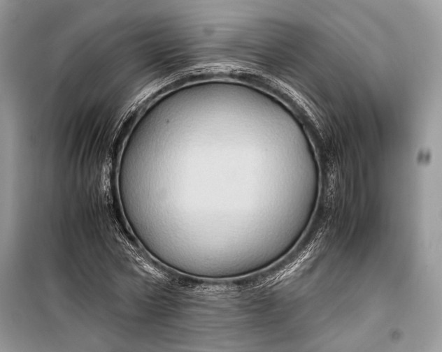 X0000099290778200805161324