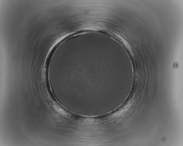 X0000099290779200805161324