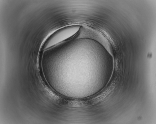 X0000099290780200805161324