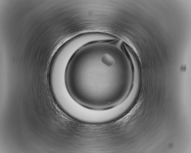 X0000099290781200805161324