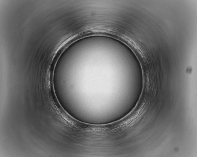 X0000099290782200805161324