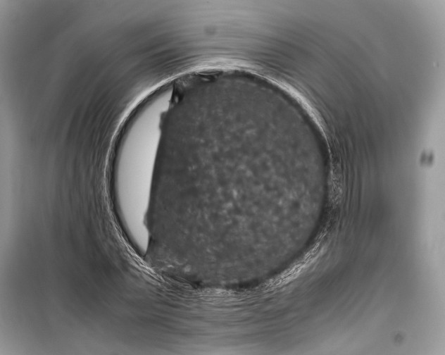 X0000099290783200805161324