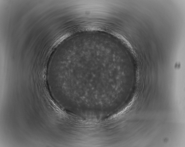 X0000099290785200805161324