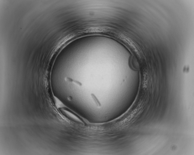 X0000099290786200805161324