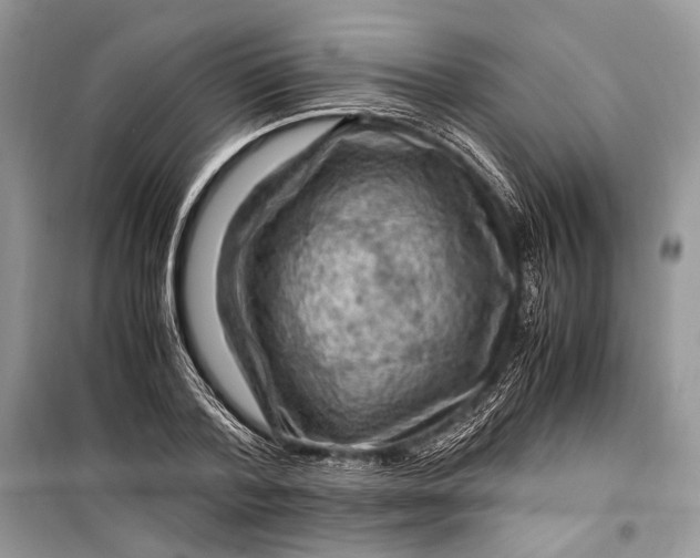 X0000099290788200805161324