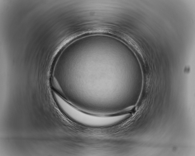 X0000099290789200805161324