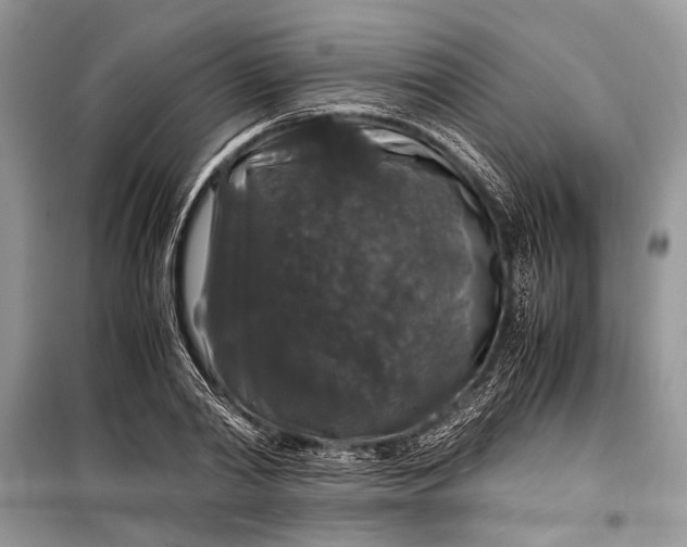 X0000099290790200805161324