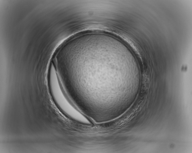 X0000099290791200805161324