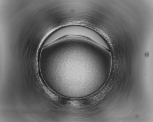 X0000099290792200805161324