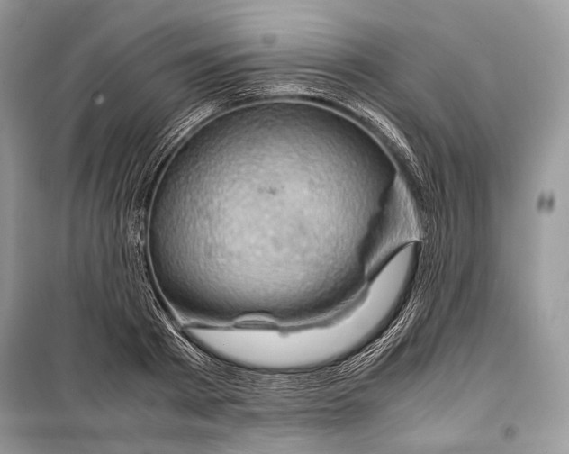 X0000099290793200805161324