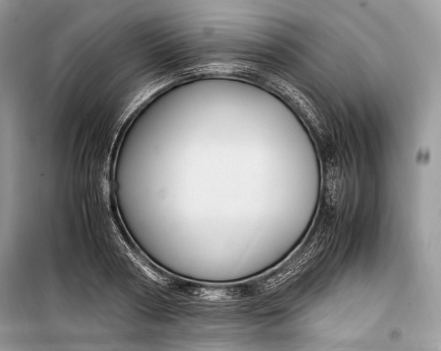 X0000099290794200805161324