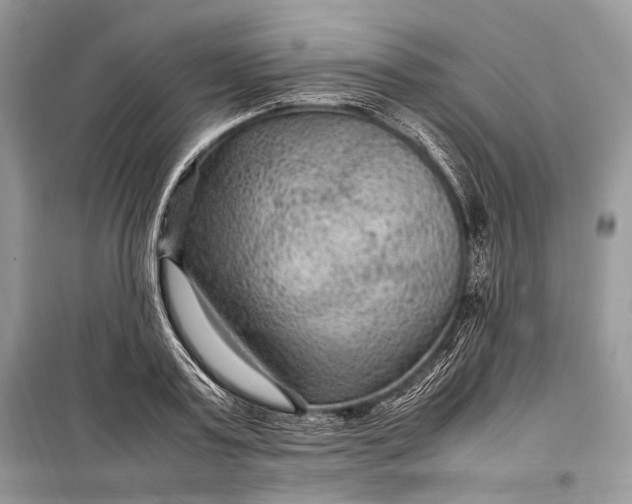 X0000099290795200805161324