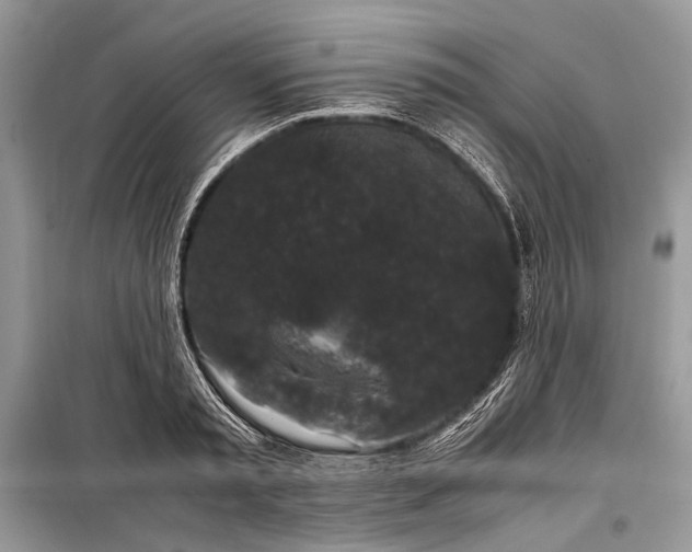 X0000099290797200805161324