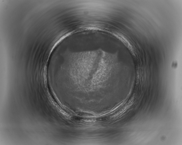 X0000099290798200805161324