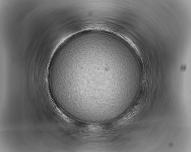 X0000099290799200805161324