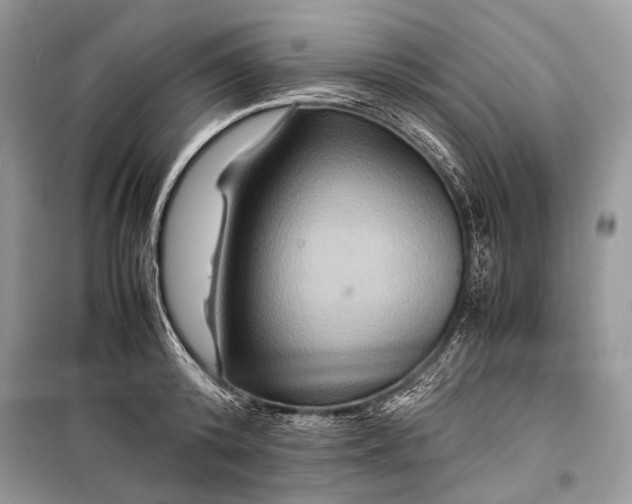 X0000099290800200805161324