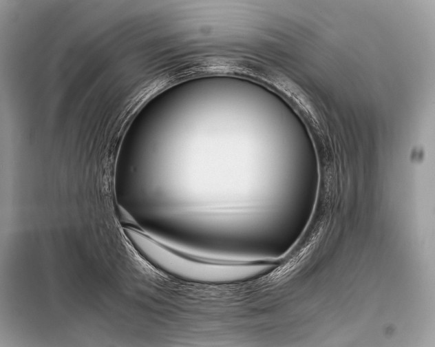 X0000099290801200805161324