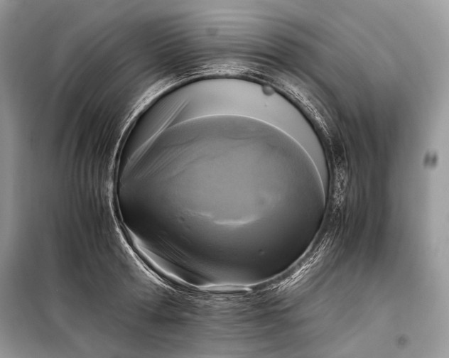 X0000099290802200805161324