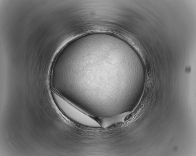 X0000099290803200805161324