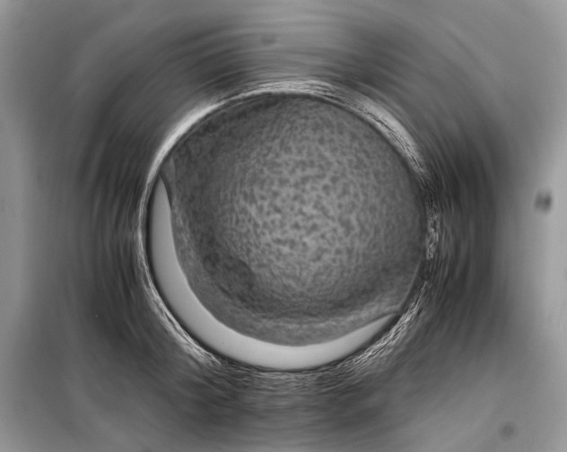 X0000099290804200805161324