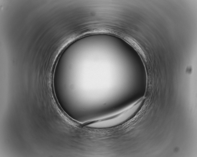 X0000099290805200805161324