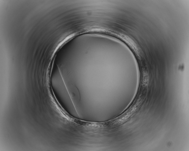 X0000099290806200805161324