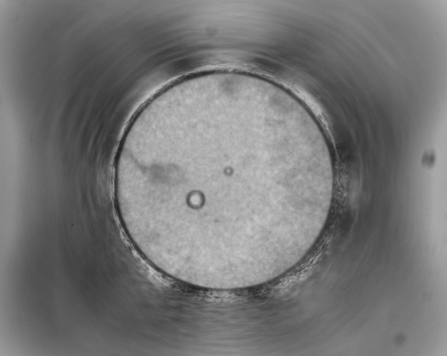 X0000099290807200805161324