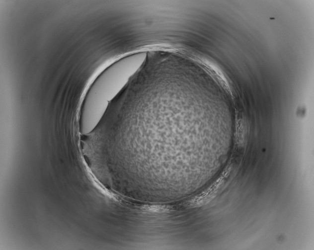 X0000099290808200805161324