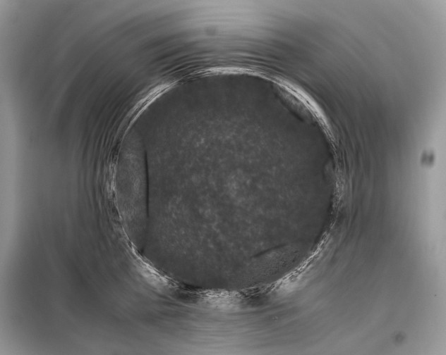 X0000099290809200805161323