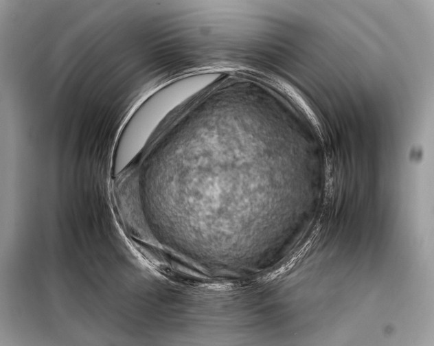 X0000099290810200805161323